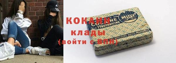 шишки Балабаново