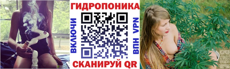 Канабис OG Kush  Ворсма 
